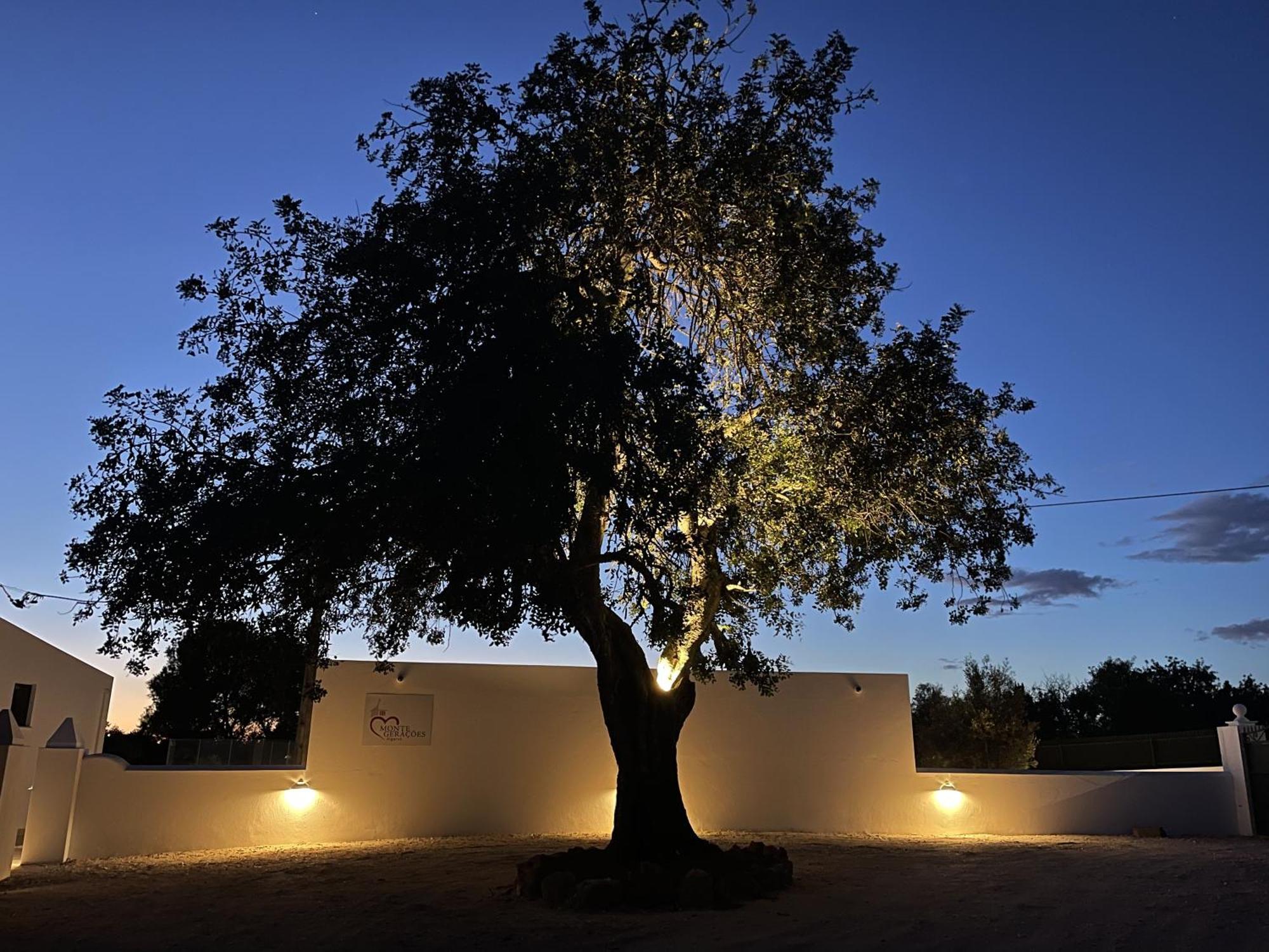 Monte Geracoes - Heated Pool - Typical Algarvian - Close To Quinta Lago, Vale Lobo And Vilamoura Almancil Zewnętrze zdjęcie